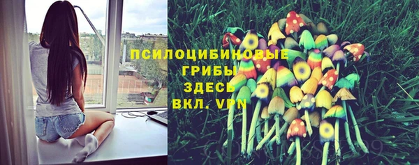 а пвп мука Волоколамск
