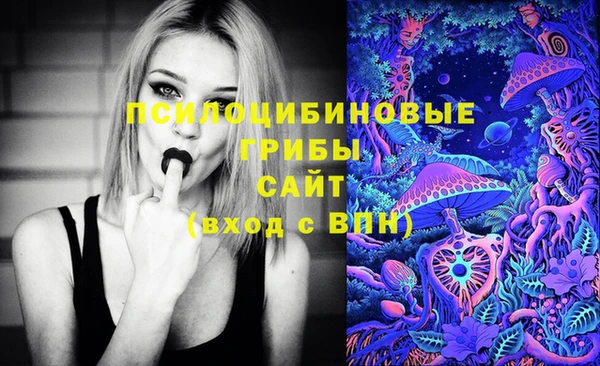 тгк Волосово